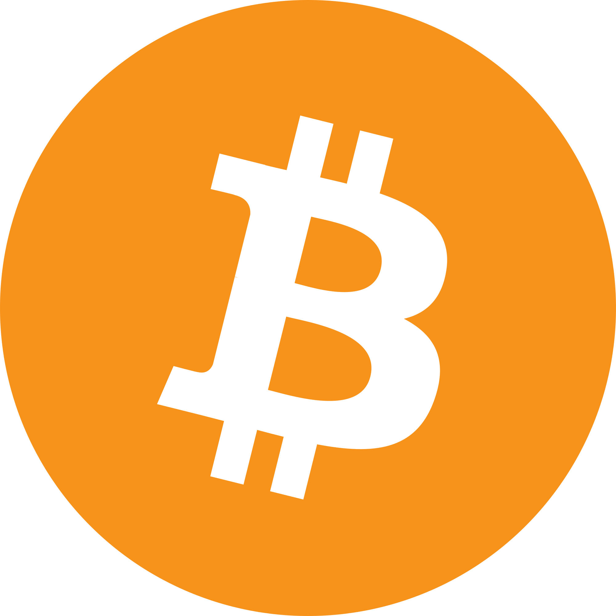 bitcoin payment method